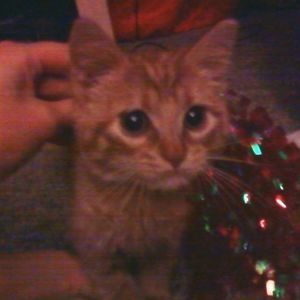 Meet your Posher, Jill